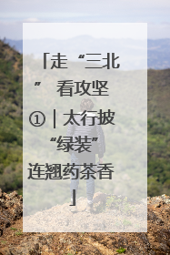 走“三北” 看攻坚①｜太行披“绿装” 连翘药茶香
