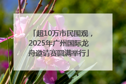 超10万市民围观，2025年广州国际龙舟邀请赛圆满举行