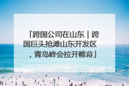 跨国公司在山东｜跨国巨头抢滩山东开发区，青岛峰会拉开帷幕