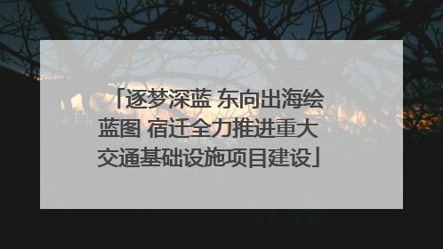 逐梦深蓝 东向出海绘蓝图 宿迁全力推进重大交通基础设施项目建设