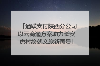 通联支付陕西分公司以云商通方案助力长安唐村绘就文旅新图景