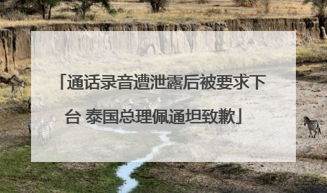 通话录音遭泄露后被要求下台 泰国总理佩通坦致歉