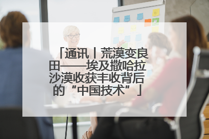 通讯丨荒漠变良田——埃及撒哈拉沙漠收获丰收背后的“中国技术”