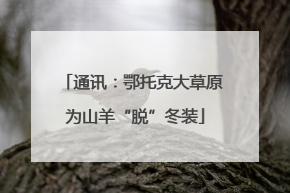 通讯：鄂托克大草原为山羊“脱”冬装