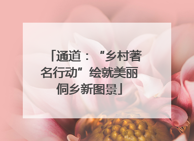 通道：“乡村著名行动”绘就美丽侗乡新图景