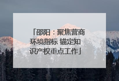 邵阳：聚焦营商环境指标 锚定知识产权重点工作