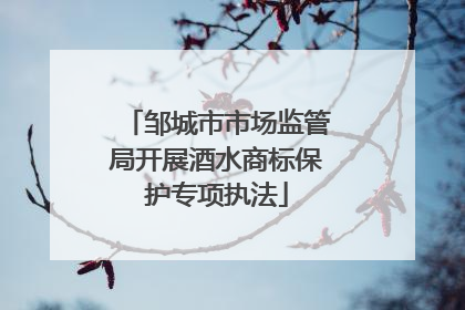 邹城市市场监管局开展酒水商标保护专项执法