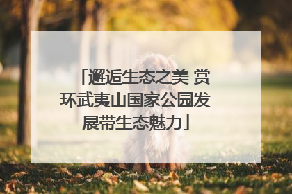 邂逅生态之美 赏环武夷山国家公园发展带生态魅力