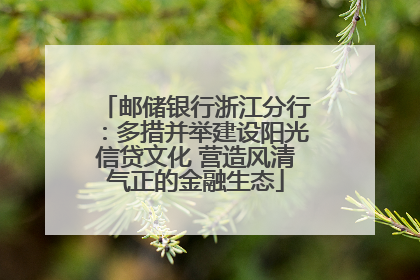 邮储银行浙江分行：多措并举建设阳光信贷文化 营造风清气正的金融生态