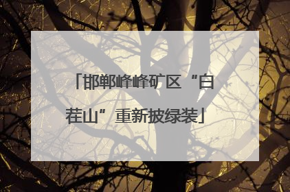 邯郸峰峰矿区“白茬山”重新披绿装
