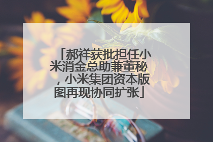 郝祥获批担任小米消金总助兼董秘，小米集团资本版图再现协同扩张