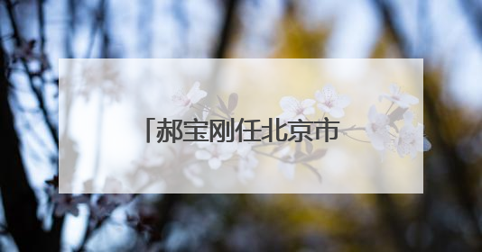郝宝刚任北京市朝阳区副区长