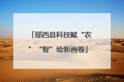 郧西县科技赋“农”“智”绘新画卷