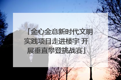 金心金意新时代文明实践项目走进楼宇 开展垂直攀登挑战赛