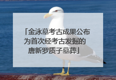 金泳墓考古成果公布 为首次经考古发掘的唐新罗质子墓葬