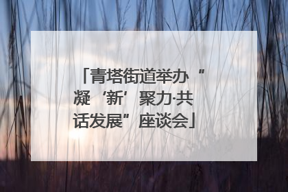 青塔街道举办“凝‘新’聚力·共话发展”座谈会