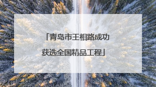 青岛市王相路成功获选全国精品工程