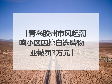 青岛胶州市凤起潮鸣小区因擅自选聘物业被罚3万元