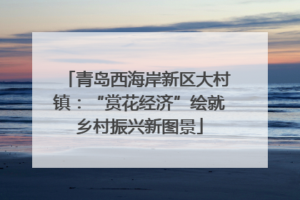 青岛西海岸新区大村镇：“赏花经济”绘就乡村振兴新图景