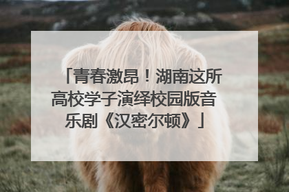 青春激昂！湖南这所高校学子演绎校园版音乐剧《汉密尔顿》