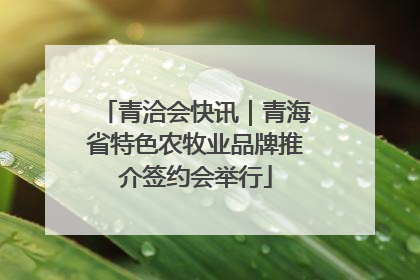 青洽会快讯｜青海省特色农牧业品牌推介签约会举行