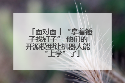 面对面丨“拿着锤子找钉子” 他们的开源模型让机器人能“上学”了