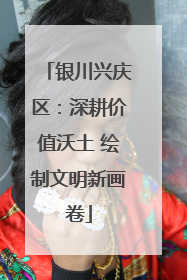 银川兴庆区：深耕价值沃土 绘制文明新画卷