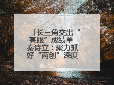 长三角交出“亮眼”成绩单 秦诗立：聚力抓好“两创”深度融合这个棋眼