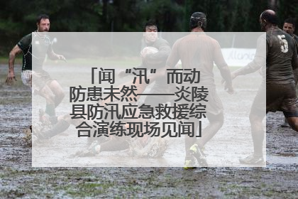 闻“汛”而动 防患未然——炎陵县防汛应急救援综合演练现场见闻