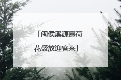 闽侯溪源寨荷花盛放迎客来