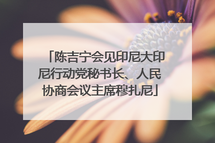陈吉宁会见印尼大印尼行动党秘书长、人民协商会议主席穆扎尼