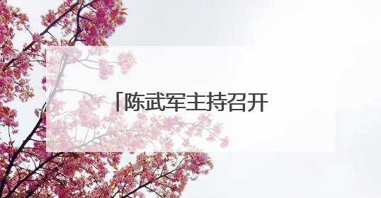 陈武军主持召开部分领域重点项目调度会（图）