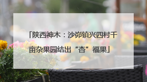 陕西神木：沙峁镇兴四村千亩杂果园结出“杏”福果