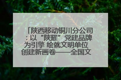 陕西移动铜川分公司：以“陕耀”党建品牌为引擎 绘就文明单位创建新画卷——全国文明单位创建纪实