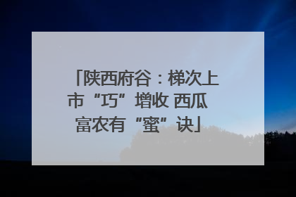 陕西府谷：梯次上市“巧”增收 西瓜富农有“蜜”诀