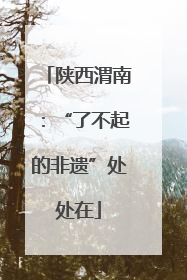陕西渭南：“了不起的非遗”处处在