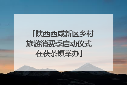 陕西西咸新区乡村旅游消费季启动仪式在茯茶镇举办