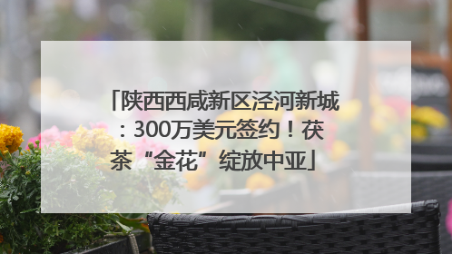 陕西西咸新区泾河新城：300万美元签约！茯茶“金花”绽放中亚