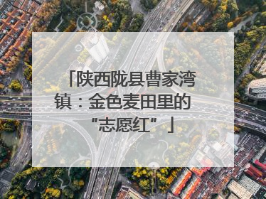 陕西陇县曹家湾镇：金色麦田里的“志愿红”