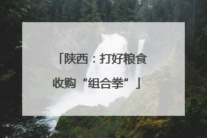 陕西：打好粮食收购“组合拳”