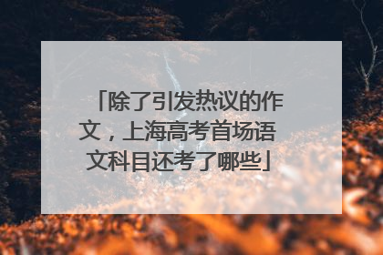 除了引发热议的作文，上海高考首场语文科目还考了哪些