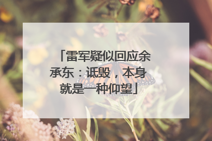 雷军疑似回应余承东：诋毁，本身就是一种仰望