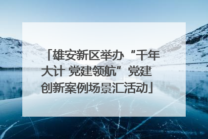 雄安新区举办“千年大计 党建领航”党建创新案例场景汇活动
