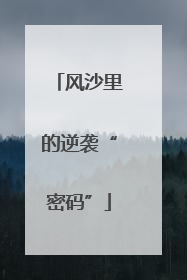风沙里的逆袭“密码”