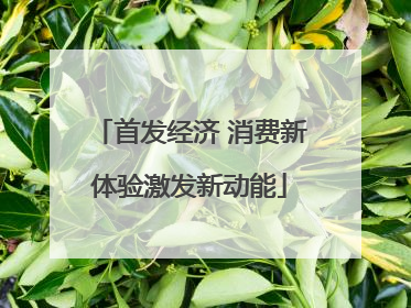首发经济 消费新体验激发新动能