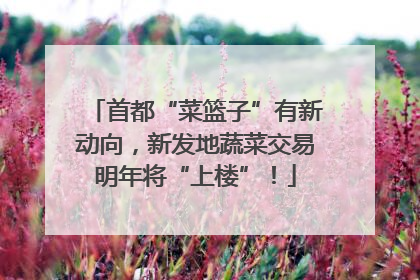 首都“菜篮子”有新动向，新发地蔬菜交易明年将“上楼”！