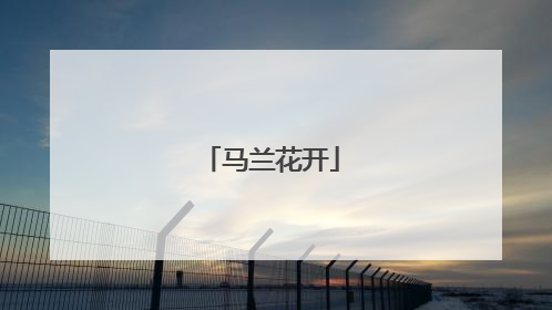 马兰花开