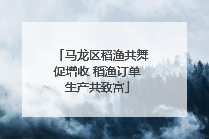 马龙区稻渔共舞促增收 稻渔订单生产共致富