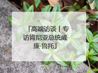 高端访谈丨专访肯尼亚总统威廉·鲁托