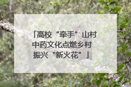 高校“牵手”山村 中药文化点燃乡村振兴“新火花”